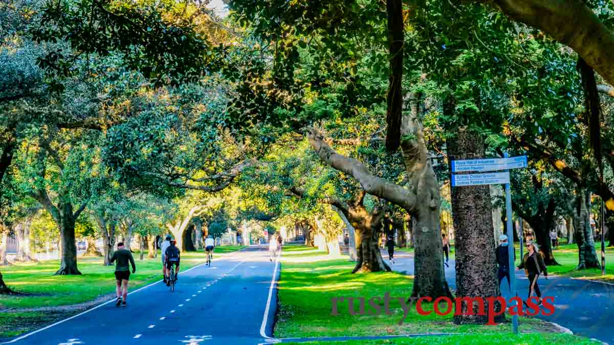 Cycling in Sydney is improving